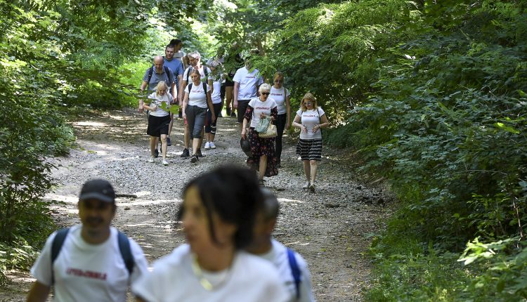 Novi Sad271 Setnja lepota i zdravlje