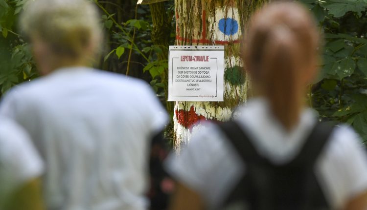 Novi Sad272 Setnja lepota i zdravlje