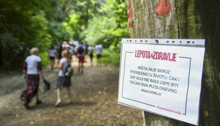 Novi Sad273 Setnja lepota i zdravlje