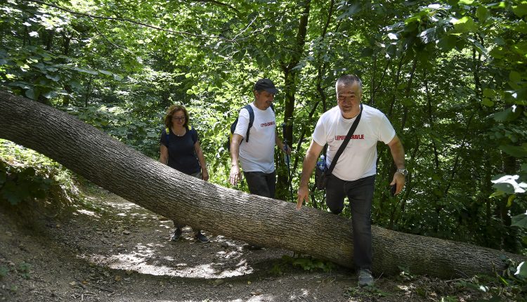 Novi Sad276 Setnja lepota i zdravlje