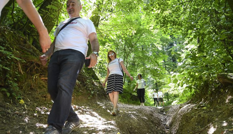 Novi Sad278 Setnja lepota i zdravlje