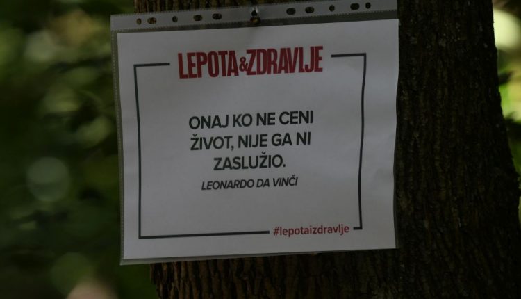 Novi Sad371 Setnja lepota i zdravlje