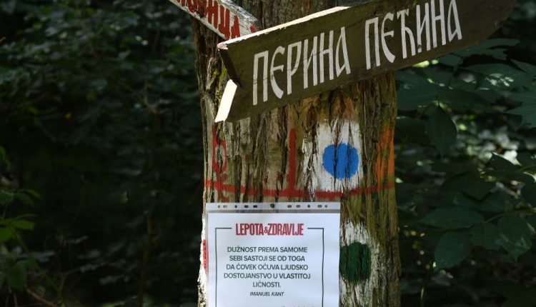 Novi Sad380 Setnja lepota i zdravlje