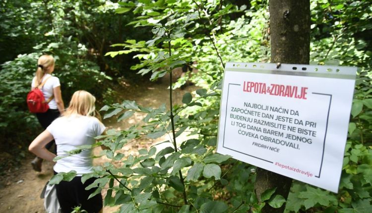 Novi Sad397 Setnja lepota i zdravlje