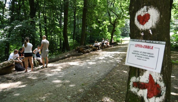 Novi Sad403 Setnja lepota i zdravlje