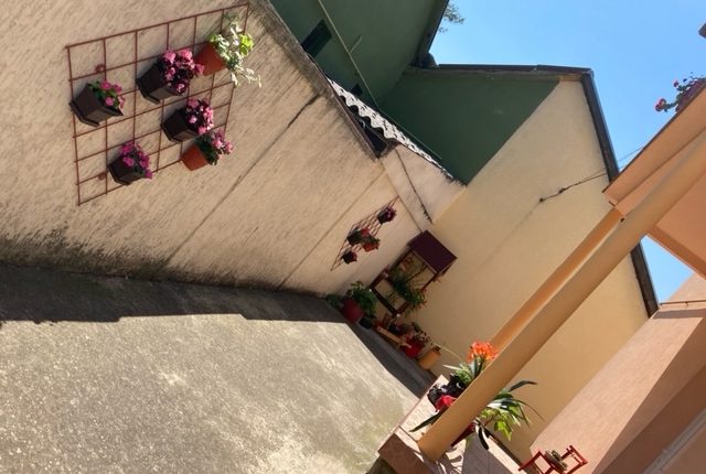 image1 1