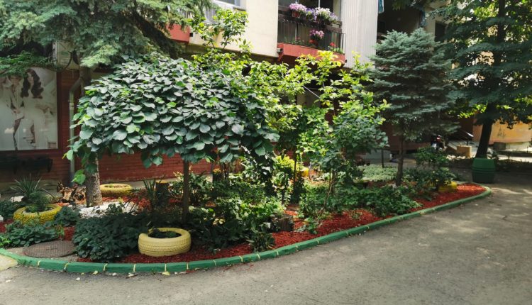 image1 2