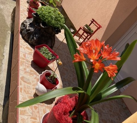 image2 1