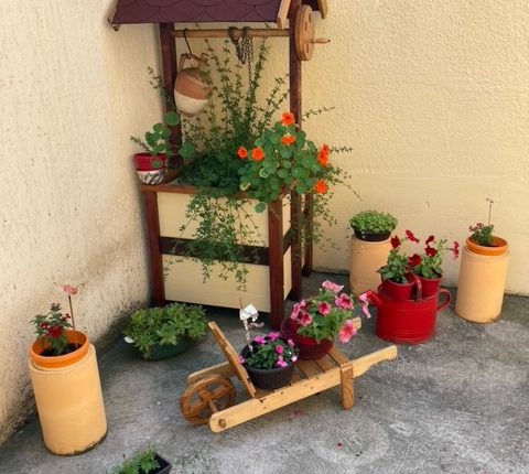 image3 1