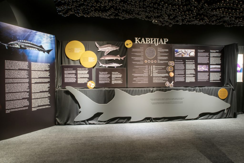 Kavijar 17