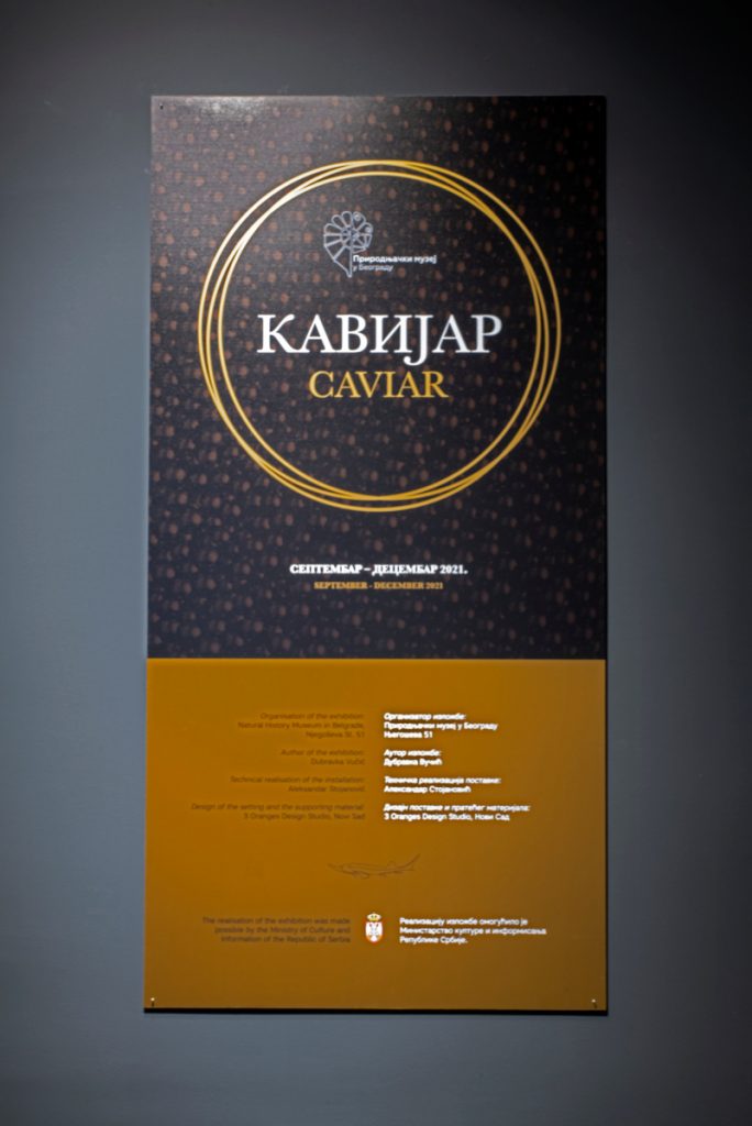 Kavijar 5