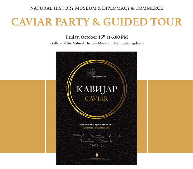 Predstavljanje izložbe “Kavijar” diplomatskom koru 1 Caviar party 1