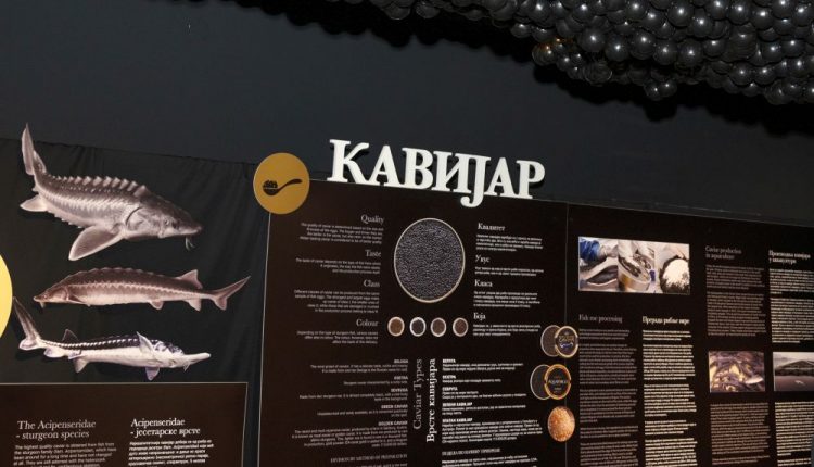 Kavijar 1