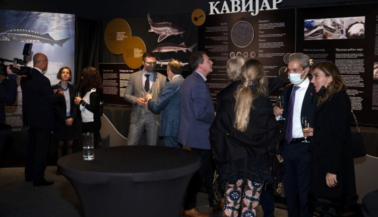 Kavijar 26