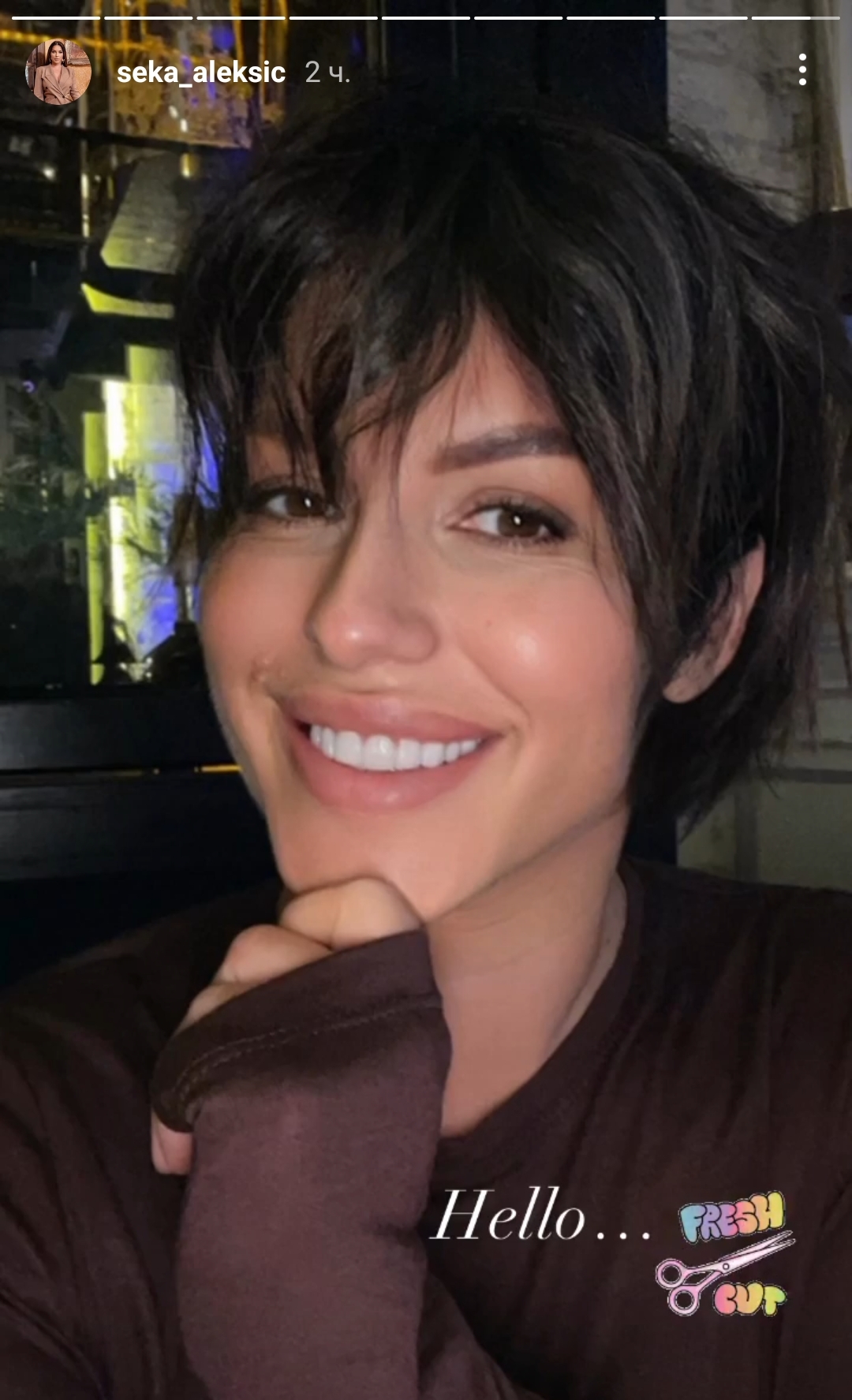 Seka Aleksic