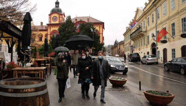 Zelena Srbija Sremski Karlovci 65