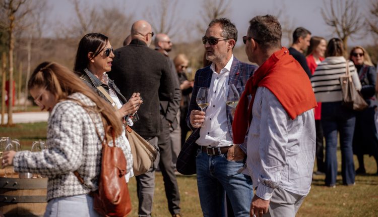 152 Meneghetti Vinarija photo by Matej Paluh