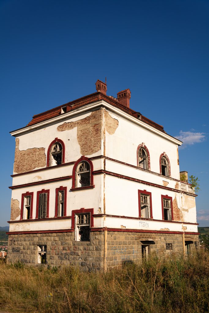 20210815 MDJ ds.rs IstocnaSrbija 0167