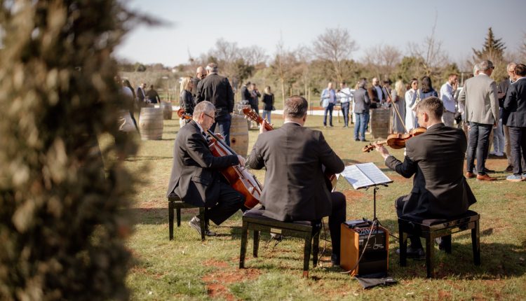 342 Meneghetti Vinarija photo by Matej Paluh