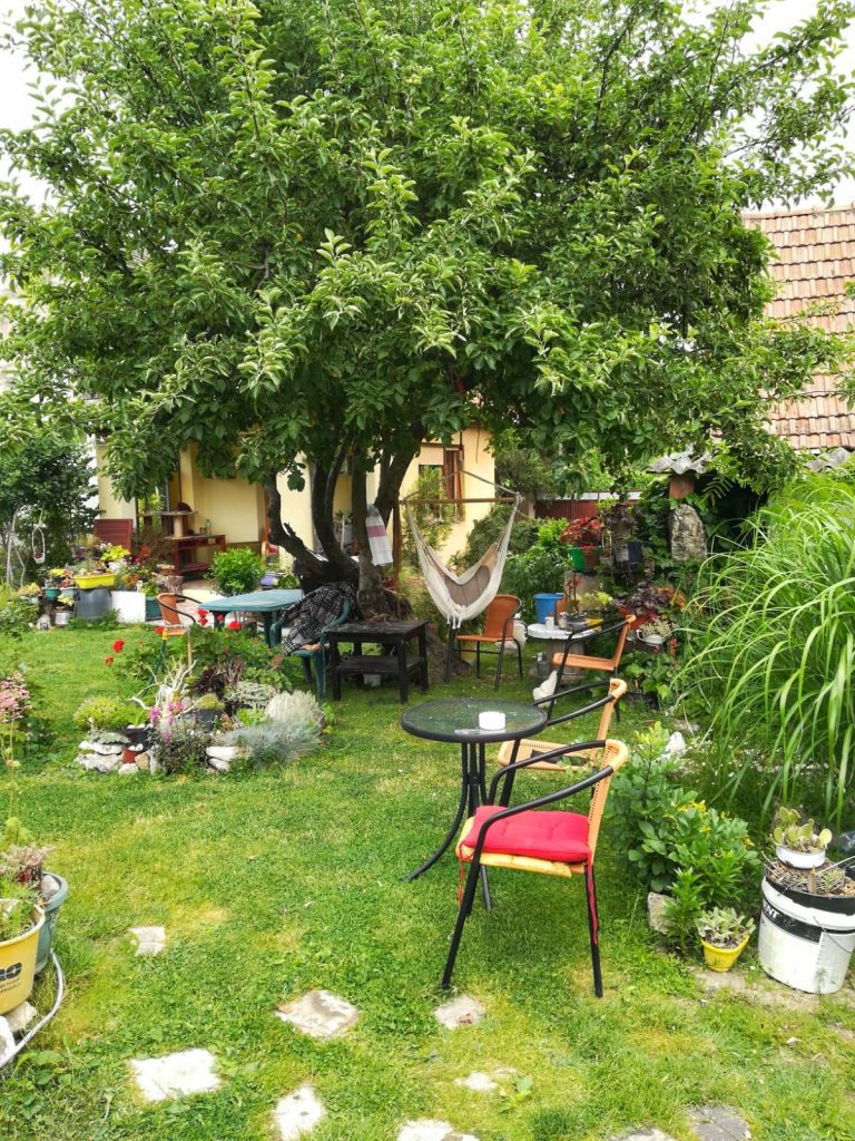 IMG 20220523 WA0002 01