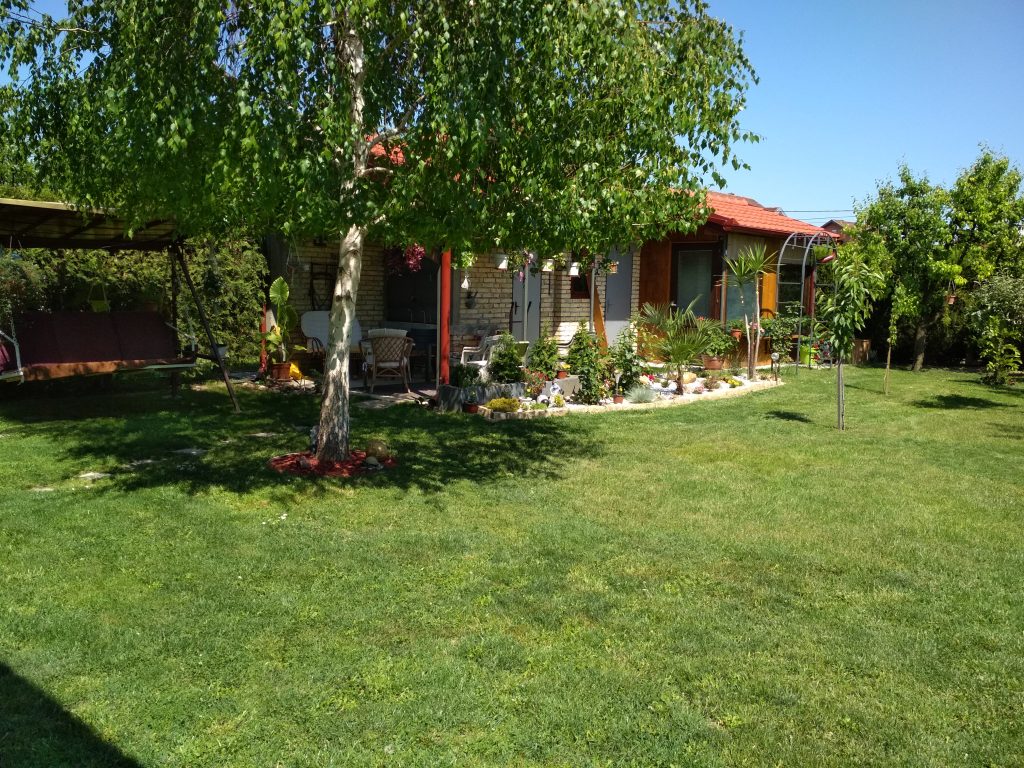“Najlepša bašta Novog Sada“: Nadin zeleni vrt u Veterniku 5 IMG 20220512 141320