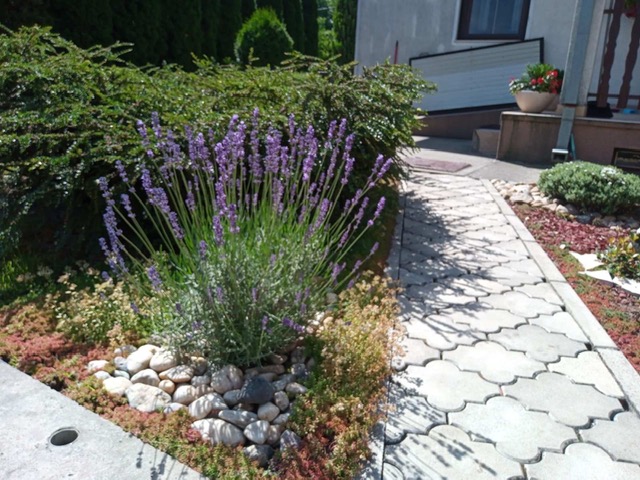 image4