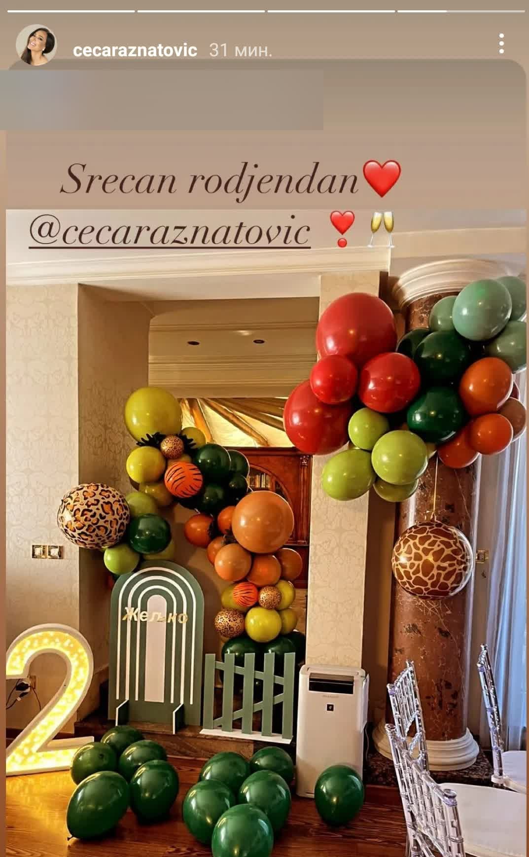 Ceca Raznatovic objava