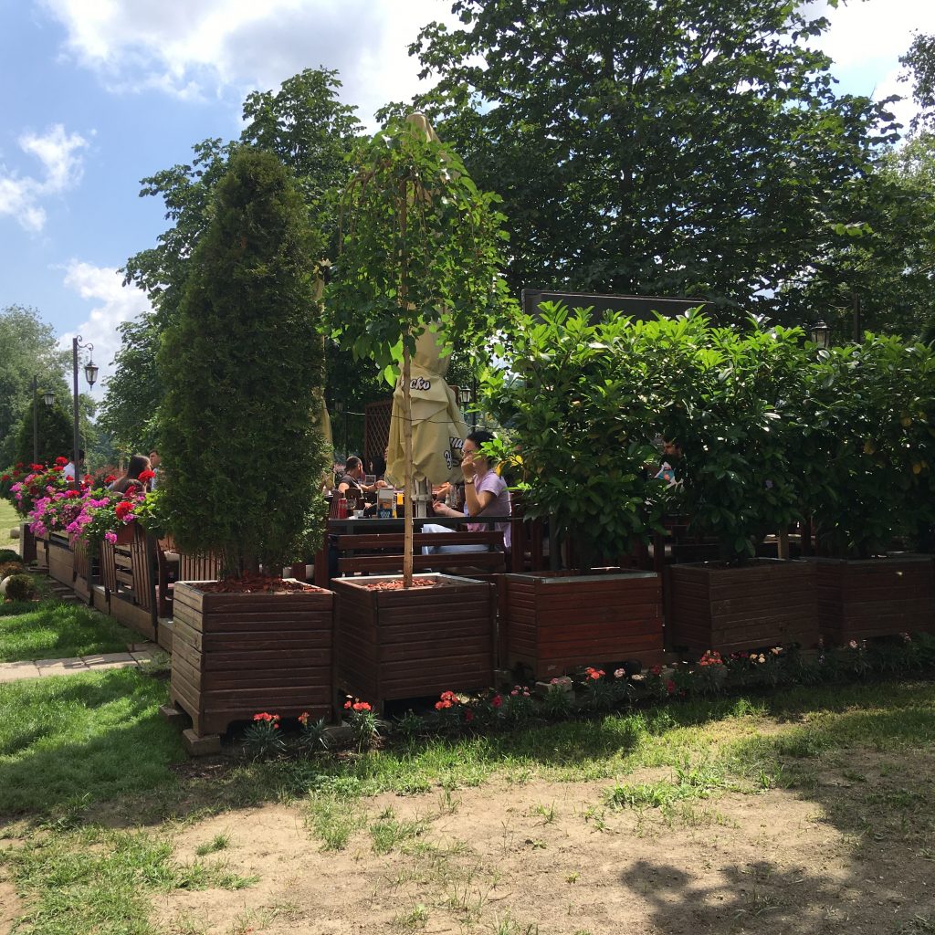 “Najlepša bašta Novog Sada“: Mirisna bajka nadomak novosadskog univerziteta 5 IMG 0542