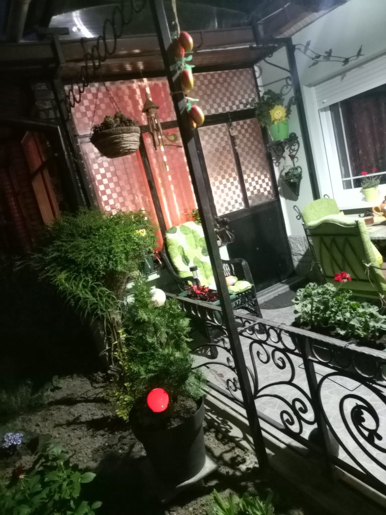 “Najlepša bašta Novog Sada“: Biljina oaza za uživanje 4 IMG 20220520 210554