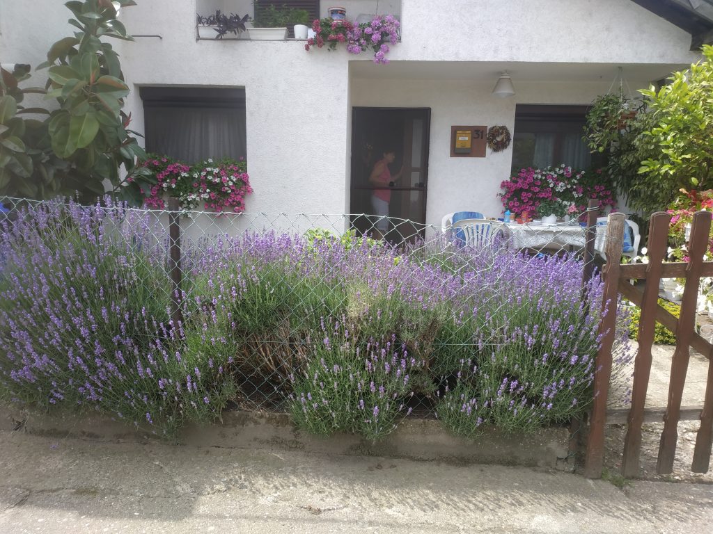 IMG 20220611 112002