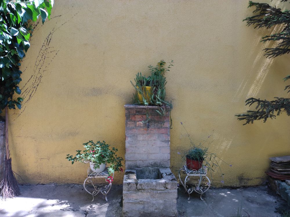 IMG 20220612 112904