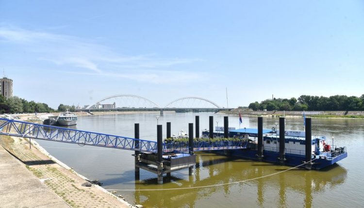 zezeljev most novi sad foto mladen sekulic