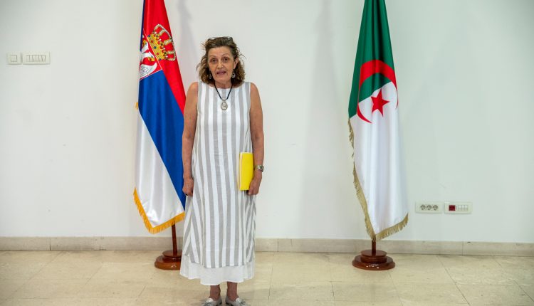 Alzir izlozba 13