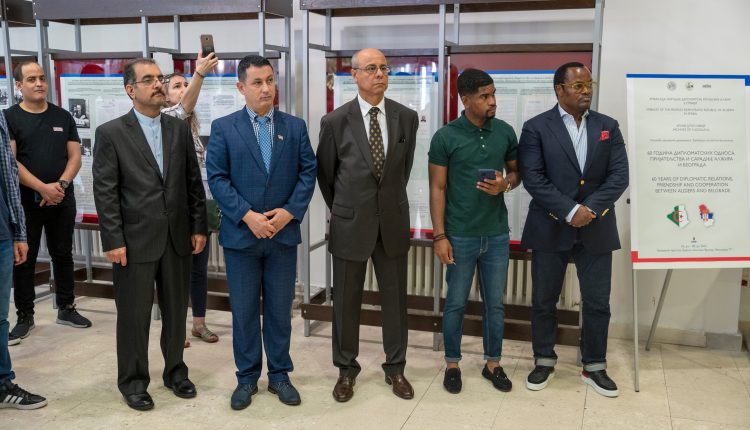 Alzir izlozba 15