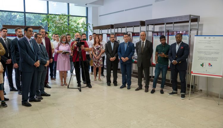 Alzir izlozba 17