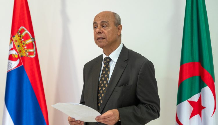 Alzir izlozba 20