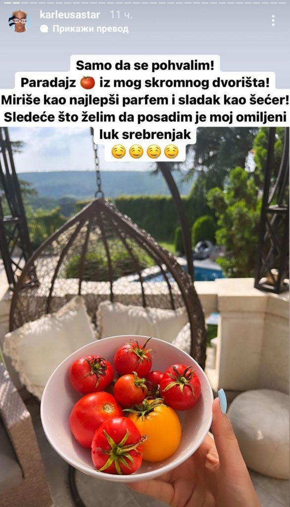 jelena karleusa 3