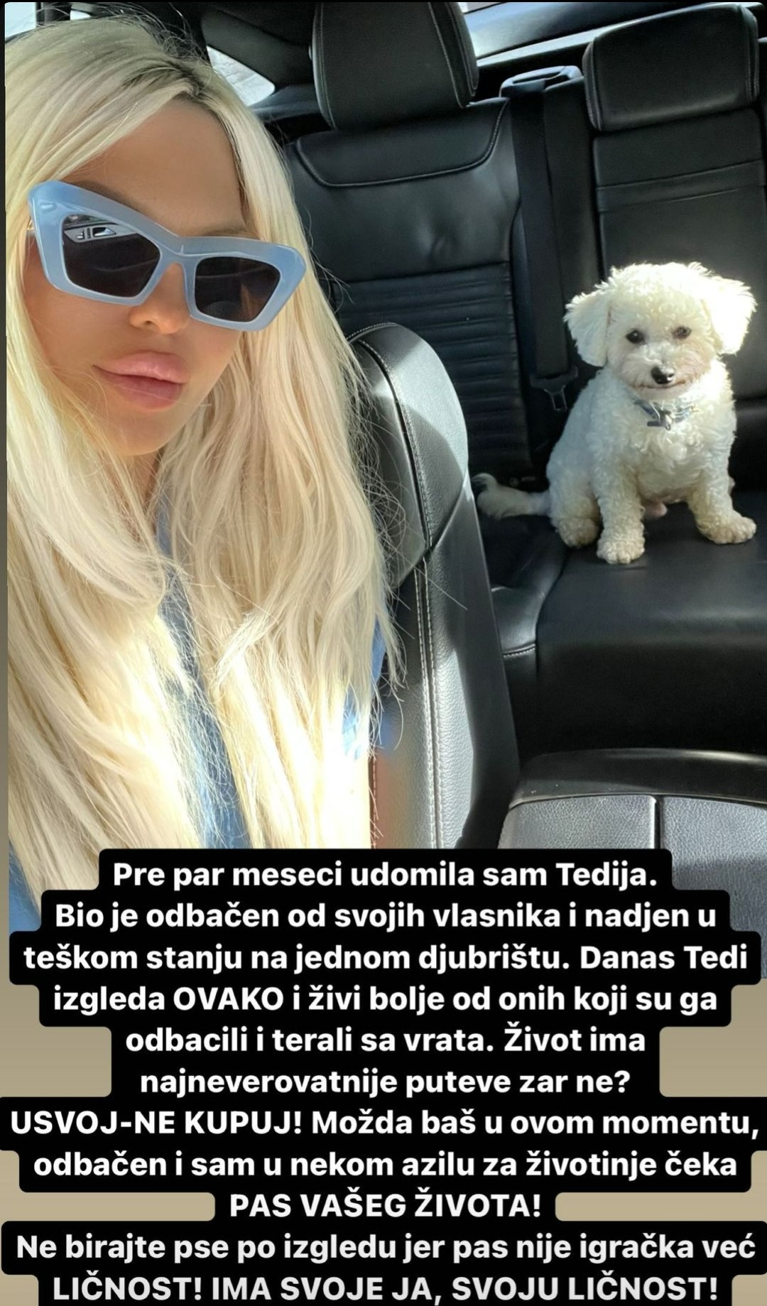 HUMANA ZVEZDA: Jelena Karleuša pokazala kako sada izgleda pas Tedi koga je pre nekoliko meseci pronašla napuštenog i bolesnog (FOTO) 2 Jelena Karleusa objava 1