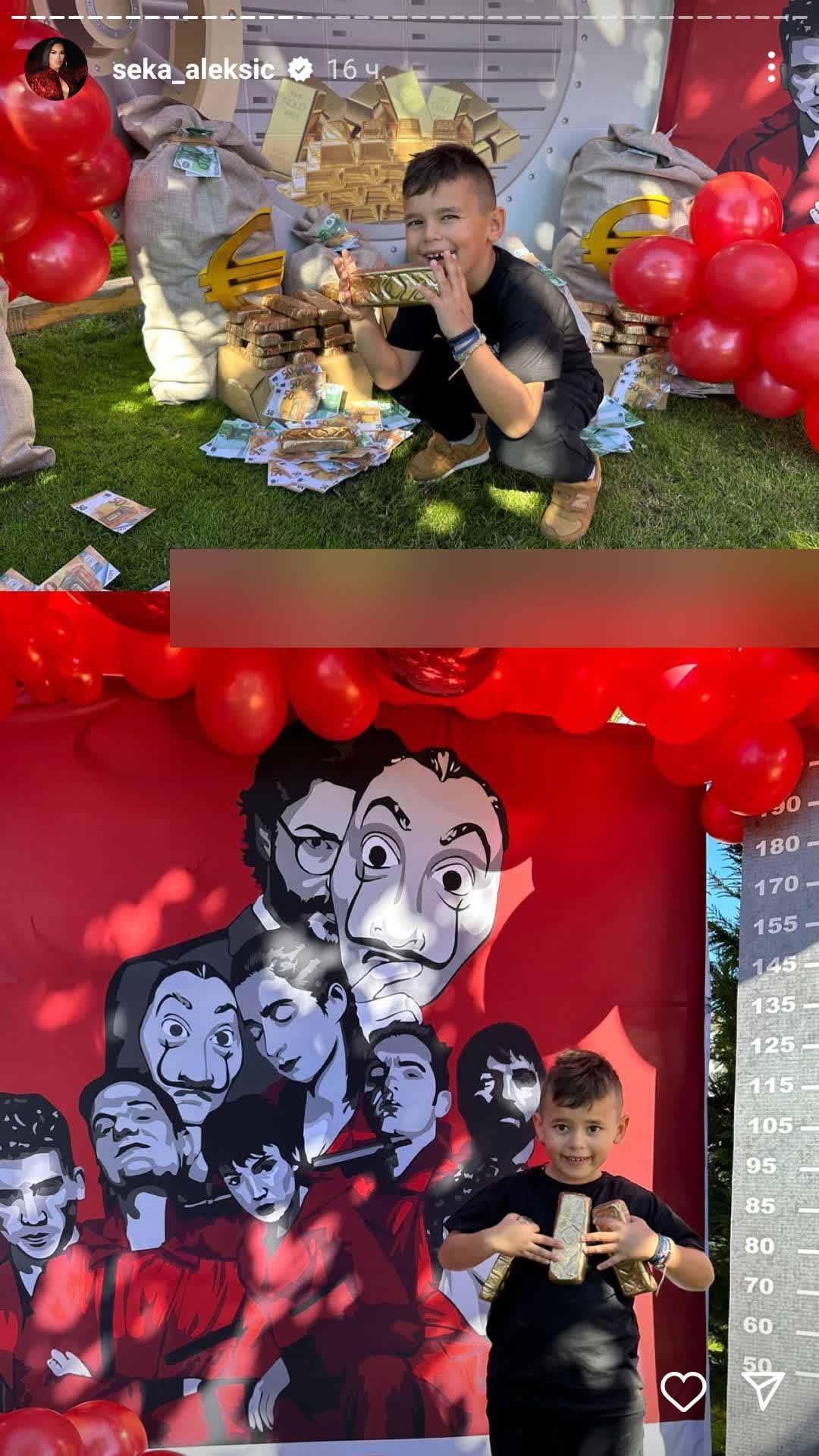Seka Aleksic objava 6