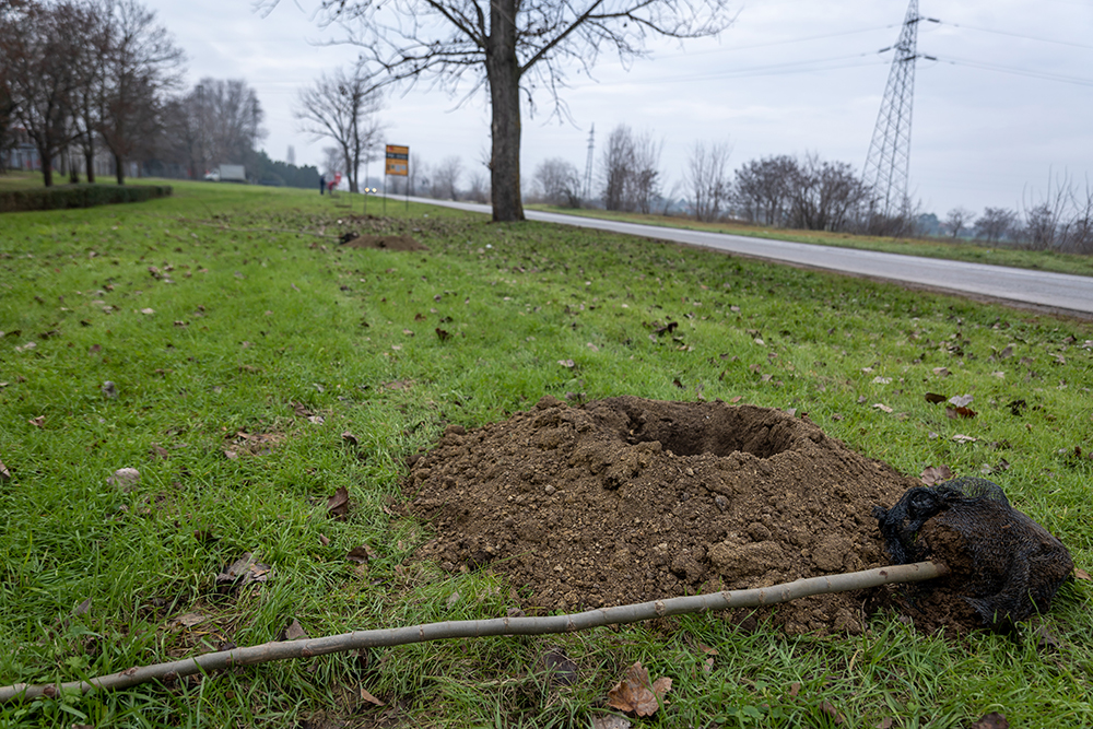 Projekat „Zelena Srbija“ realizovan u Opštini Senta 2 DAK 0899
