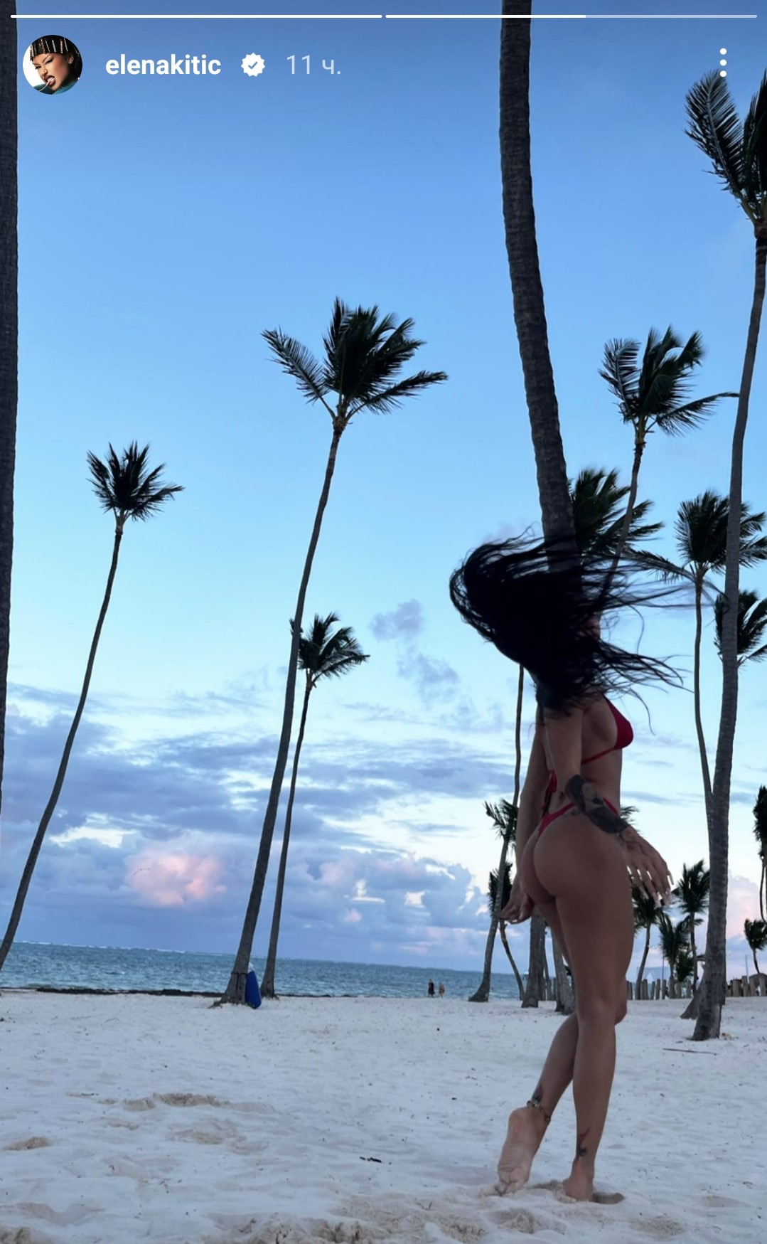 Elena Kitic objava