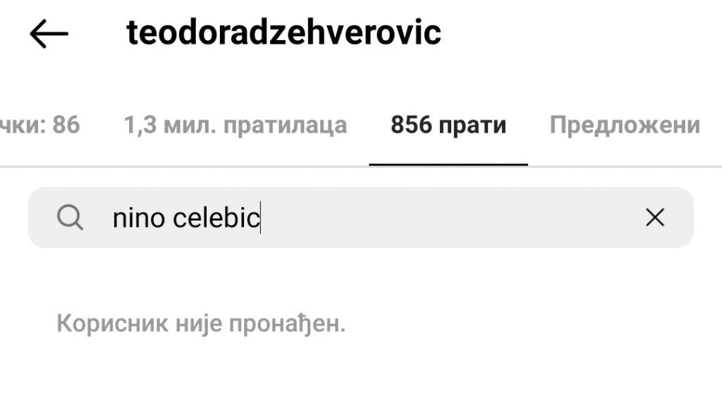 Teodora Dzehverovic Instagram