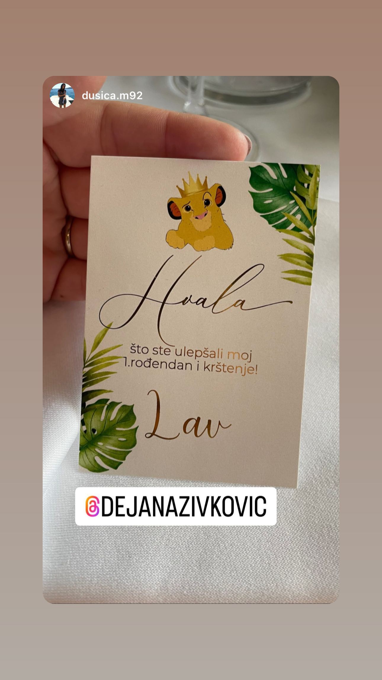 Dejana Zivkovic objava 2