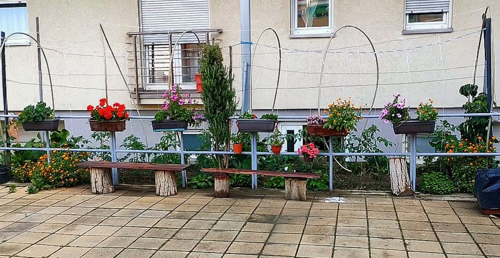 "Najlepša bašta Novog Sada" - Baštica u betonu 1 Screenshot 20230531 142015 Gallery