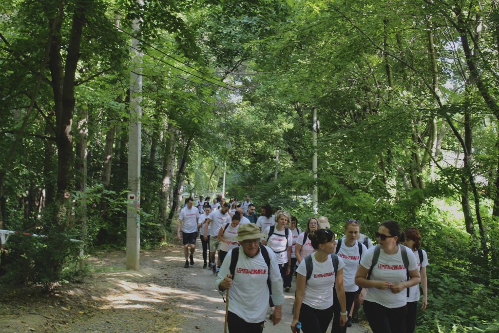 Održano deveto po redu pešačenje Stazom "Lepote i zdravlja" na Fruškoj gori 1 tekst 3 1