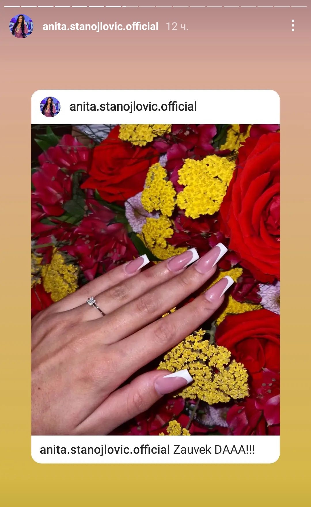 Anita Stanojlovic objava 4