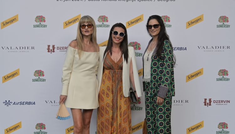 DC summer party 33