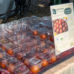 Drugi dan festivala „Taste of Planet“: Maroko, Pakistan i Hrvatska predstavili ukuse svojih zemalja 44 49 2
