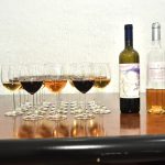 U dvorcu Kotek u Futogu održan peti Johan Štraus Fest 37 3513