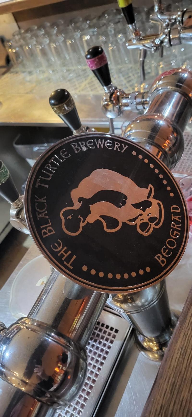 BlackTurtle3